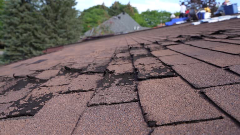 Best Cold Roofs  in Chula Vista, TX
