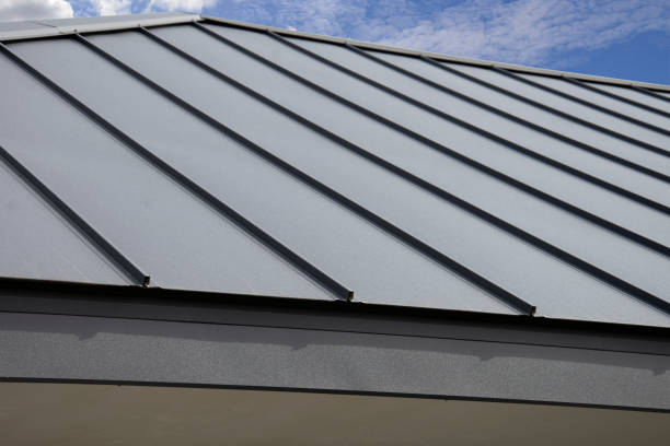 Best Gutter Installation and Repair  in Chula Vista, TX